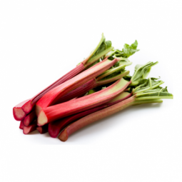 Rhubarb petioles