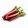 Rhubarb petioles