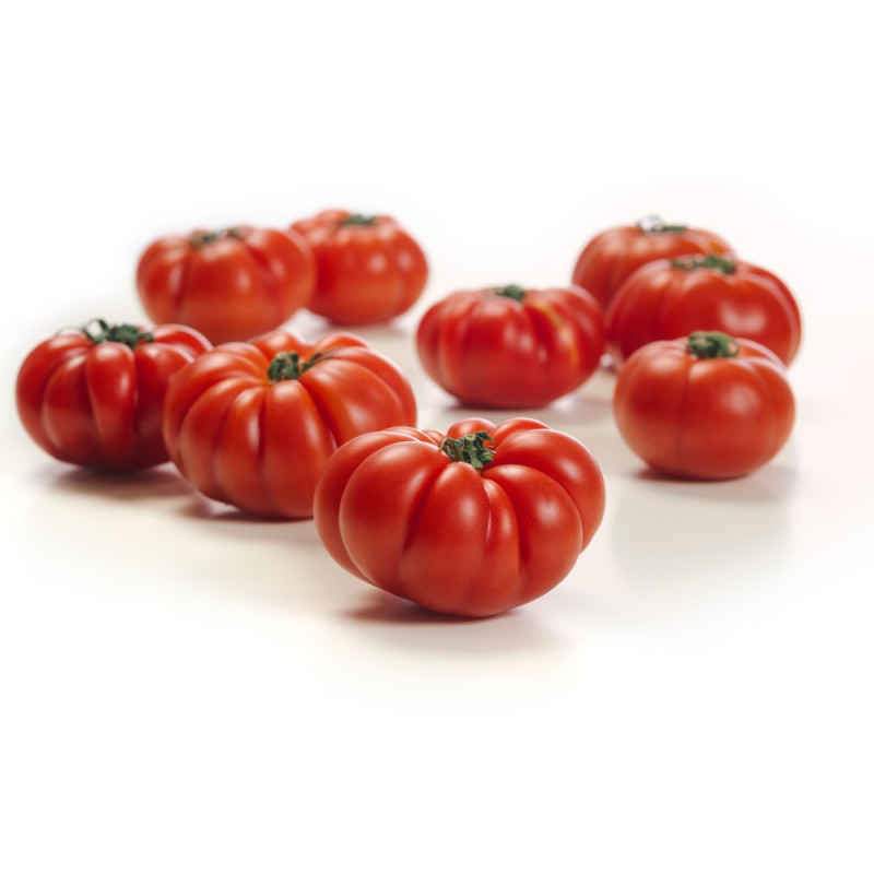 Marmande Tomato