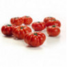 Tomato Marmande from Provence