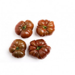 Black Krim Tomato