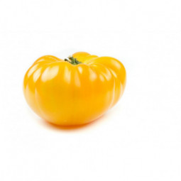 Tomato Pineapple Provence