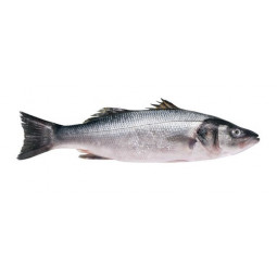 Seabass