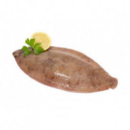 Lemon Sole