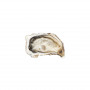 Fine Cadoret Oyster