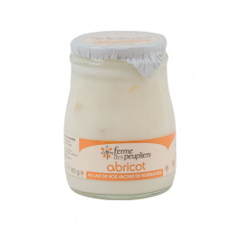 Whole milk Apricot Blended Yogurt of the day, apricot, product by la Ferme du Peuplier in Normandy.