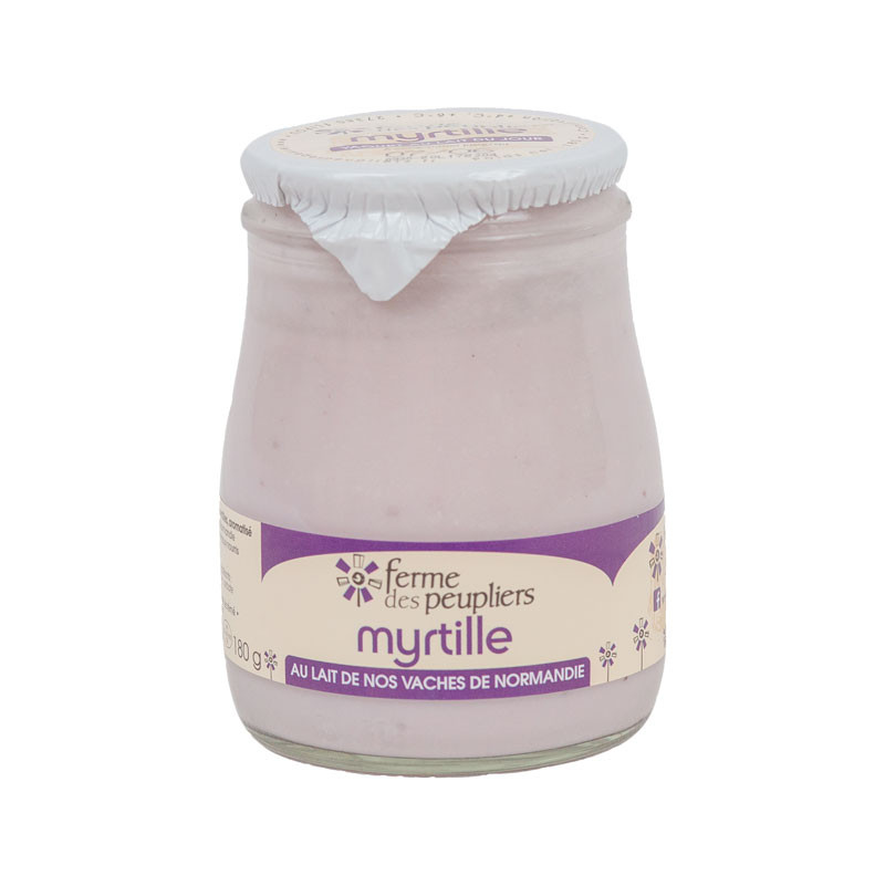 Whole milk yogurt of the day, blueberry, product by la Ferme du Peuplier in Normandy.