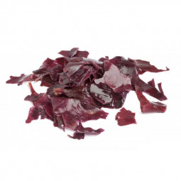 Dulse Seaweed