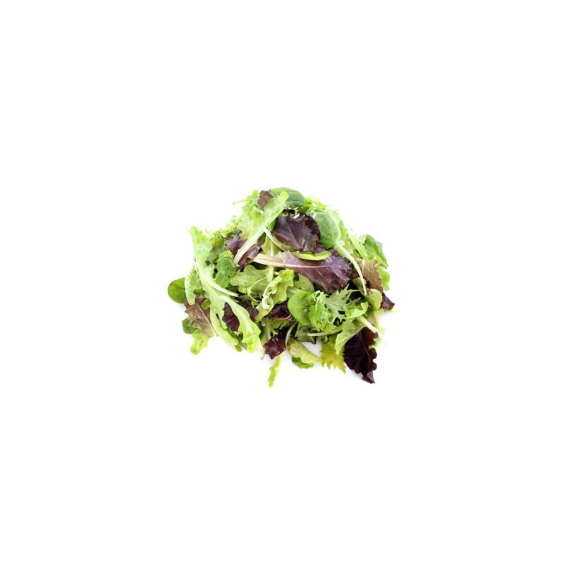 Salad Mesclun Nicois