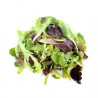 Mesclun Nicois Salad Premium