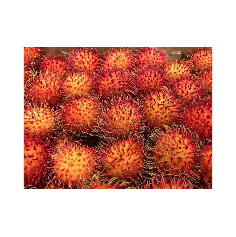 Rambutan