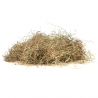 Dry Hay