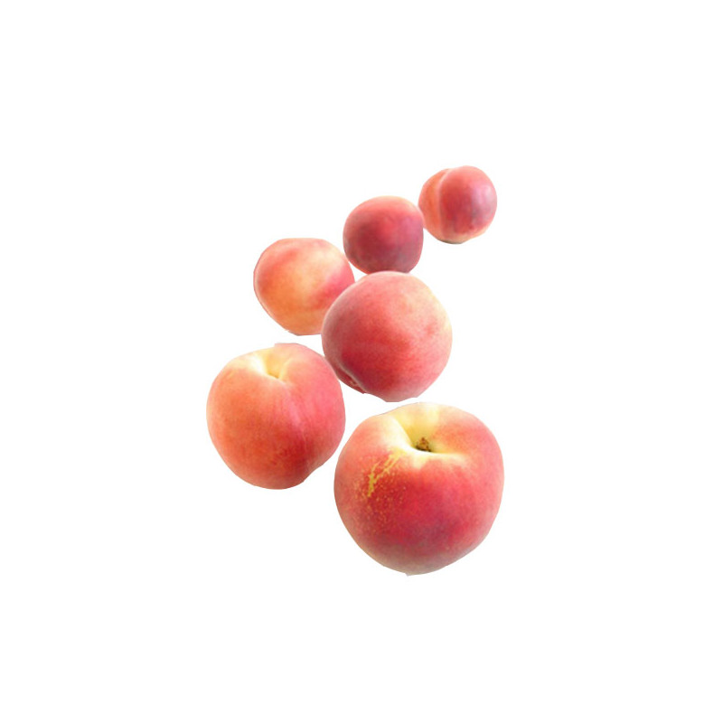 Peach White Peach White