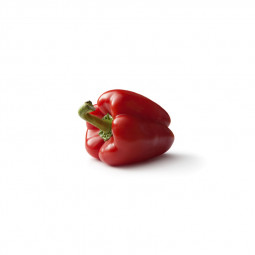 Red Capscium / Bell Pepper