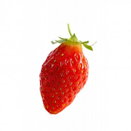 gariguette strawberry