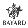 Maison Bayard